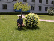 Самый большой кактус в Ланжоу