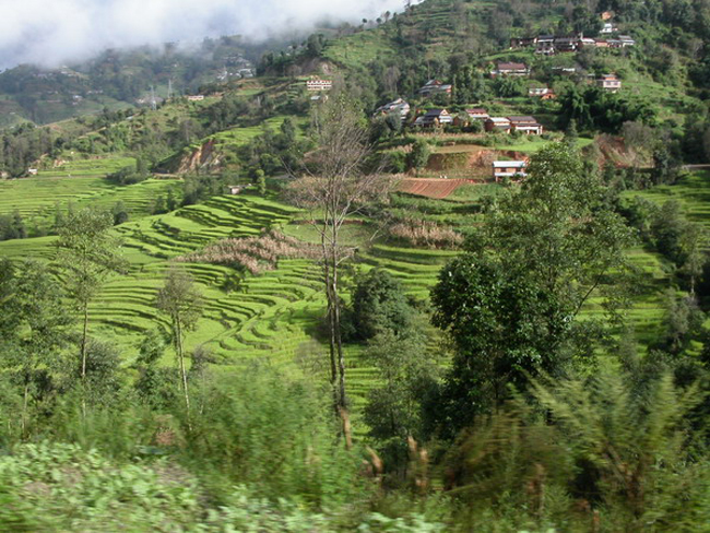 Nepal_2003_005